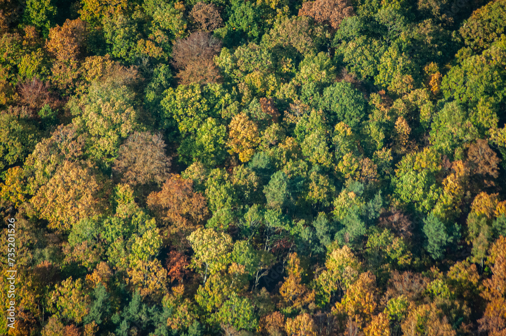 vue aérienne de forêt à l'automne dans les Yvelines en France vue aérienne de forêt à l'automne dans les Yvelines en France