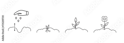 To plant plants. Seedling. Set of vector linear icons.