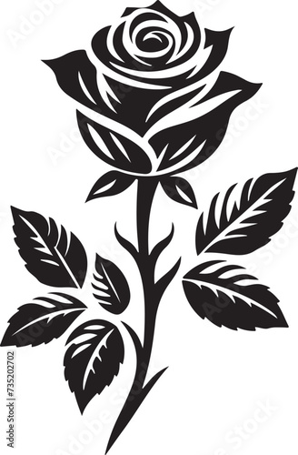 black and white rose vector illustration 