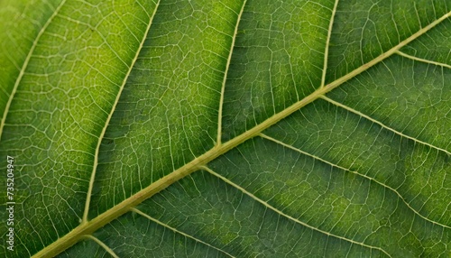 Generated image of a leaf texture