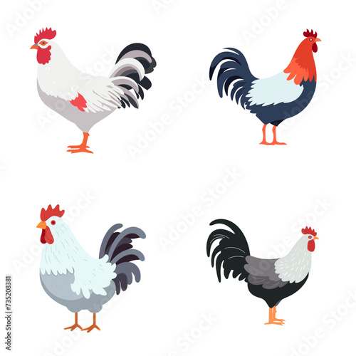 set of chicken roosters and hens  vector illustration isolated transparent background logo, cut out or cutout t-shirt design
