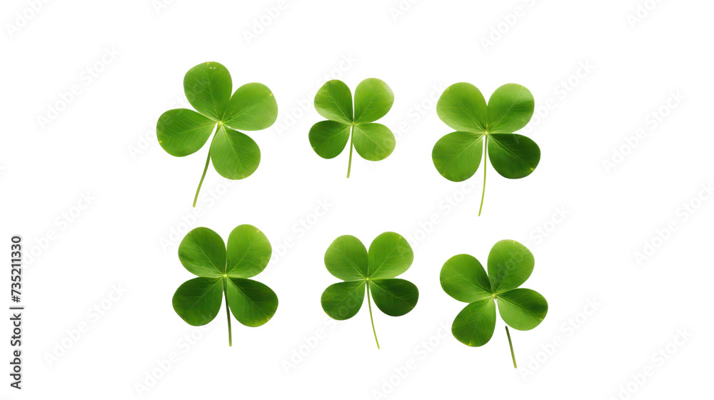 Naklejka premium St. Patrick's day, clovers isolated on white background. png