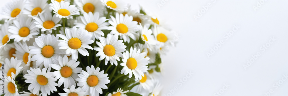 Obraz premium Flowers chamomile banner with a place for text. The concept of fortune telling and 8 march. bouquet of daisies. Copy space