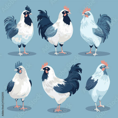 vector illustrations of different chicken breeds, showcasing their unique characteristics and features.