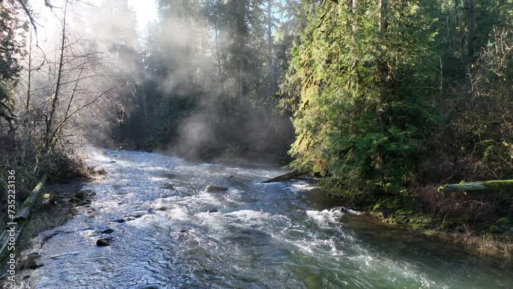 Morning sunlight illuminates mist on Eagle Creek as it flows through a beautiful Oregon forest. The many watersheds throughout the Pacific Northwest are vital habitats for native fish. Morning sunlight illuminates mist on Eagle Creek as it flows through a beautiful Oregon forest. The many watersheds throughout the Pacific Northwest are vital habitats for native fish.