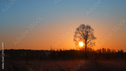 Magical sunrise with tree. Tree silhouette in golden sunrise.