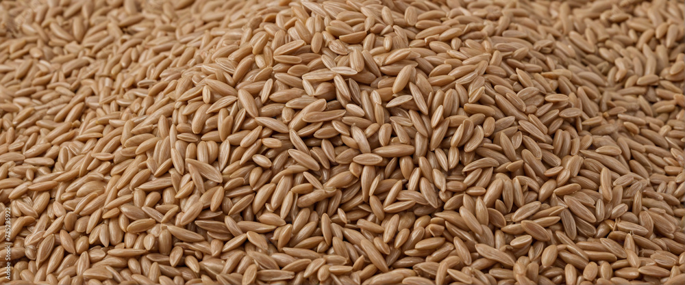 Brown rice pile, cut out Brown rice pile, cut out