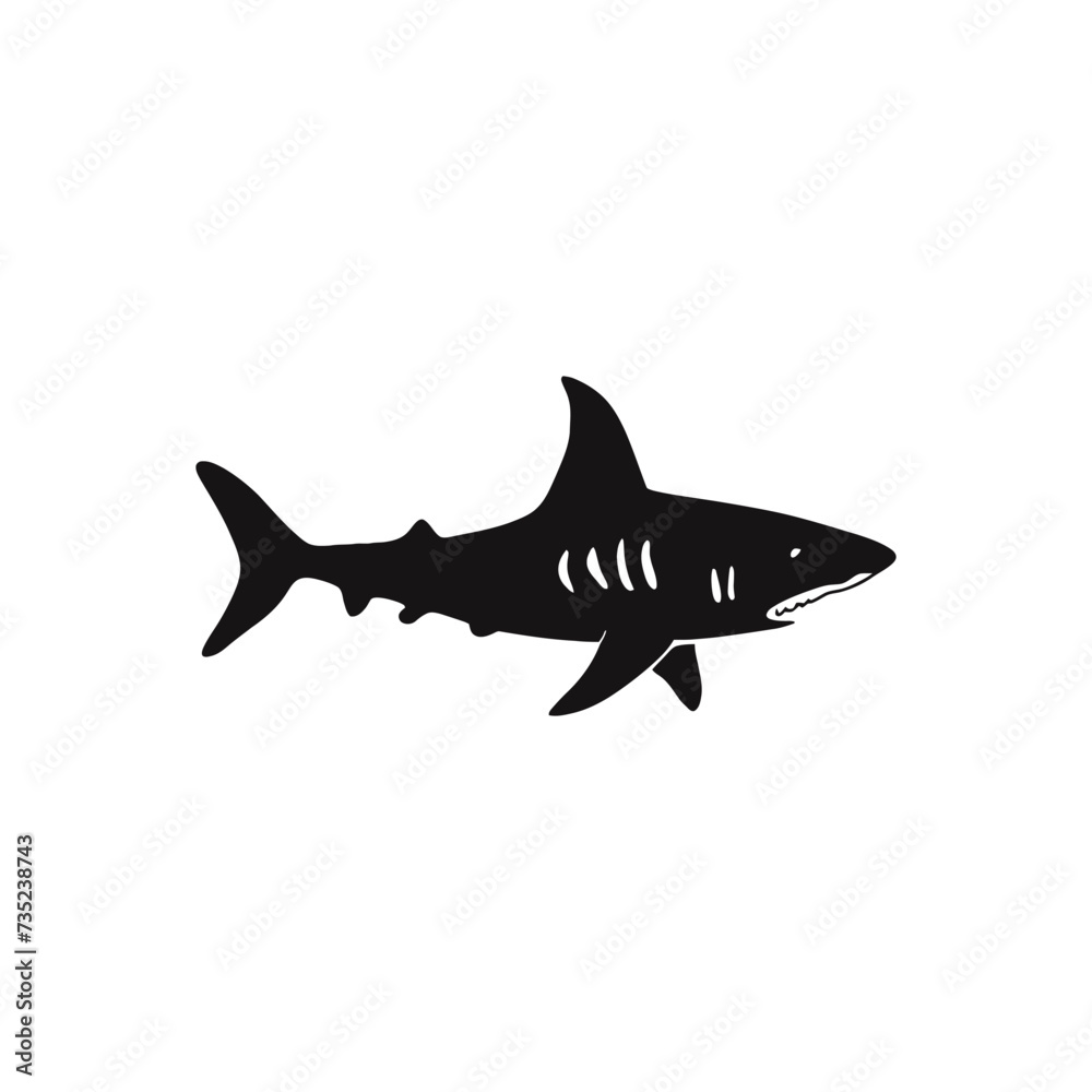Obraz premium shark vector silhouette