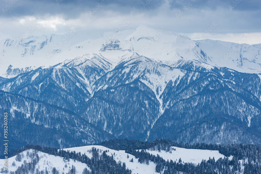 Obraz premium Mountain forest at winter time. Caucasus.
