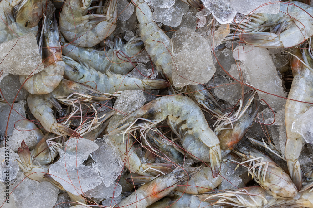 fresh prawns kept at snow box at retail shop for sale at day from different angle fresh prawns kept at snow box at retail shop for sale at day from different angle