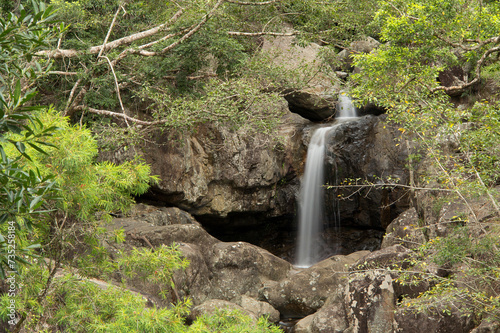 Paluma Range National Park, near Townsville, Queensland, Australia photo