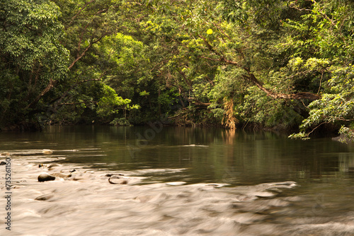 Daintree National Park, Queensland, Australia