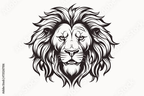 a lion s head with a long mane