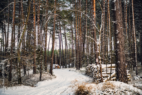 Fototapeta Naklejka Na Ścianę i Meble -  Zima