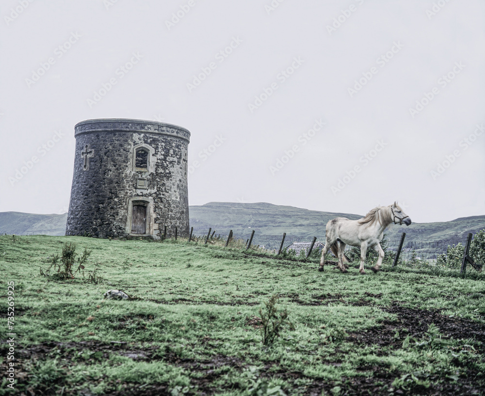 Obraz premium windmill on the hill with a horse, scotland