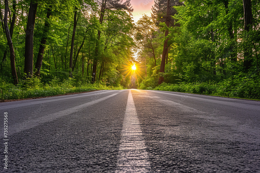 Black road panorama on sunny summer evening. Road from the ground level - shallow depth of field and trees bokeh.