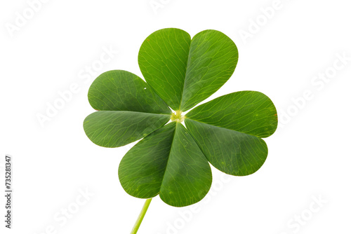 Clover Foliage Shamrock Sprout on Transparent Background, PNG