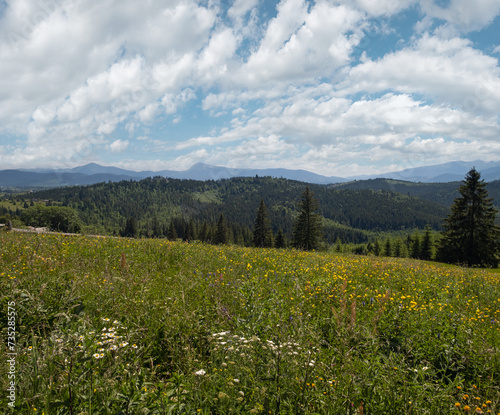 Summer Chornohora massiv mountains scenery view from Sevenei hill  near Yablunytsia pass  Carpathians  Ukraine. 