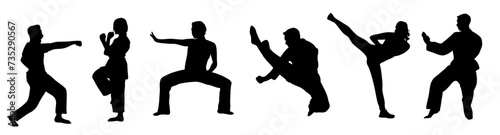 Martial art training male, female silhouettes set. People doing asian martial art exercises. Vector black illustrations isolated on transparent background. Karate, judo, tai chi, taekwondo sport.