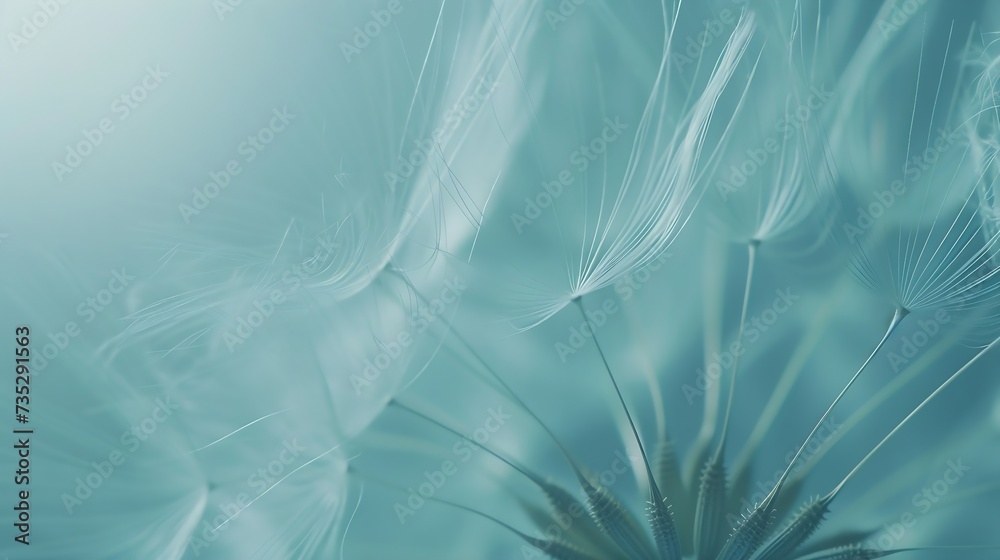 Generative AI : dandelion plant with seeds isolated on blue Generative AI : dandelion plant with seeds isolated on blue