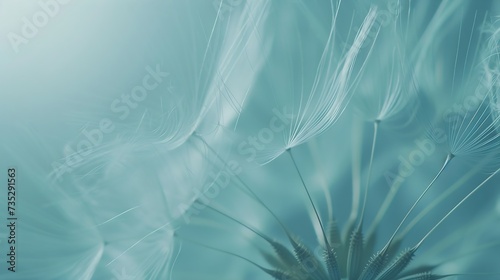 Generative AI : dandelion plant with seeds isolated on blue photo