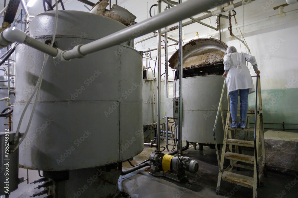 Processing line at a confectionery factory. Processing line at a confectionery factory.