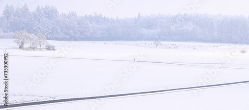 winter landscape in canton argovia in Switzerland photo