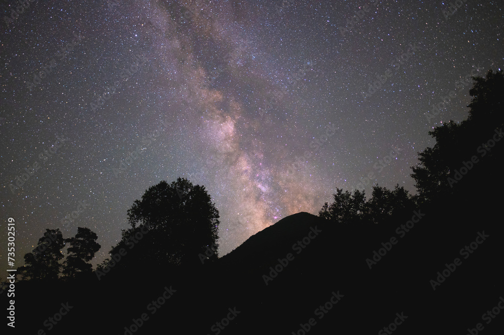 Low angle view of a silhouetted forest with the Milky Way in the background at night Low angle view of a silhouetted forest with the Milky Way in the background at night