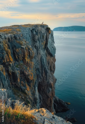 a person standing on the edge of a cliff overlooking a body of water with a bird perched on top of it. photo