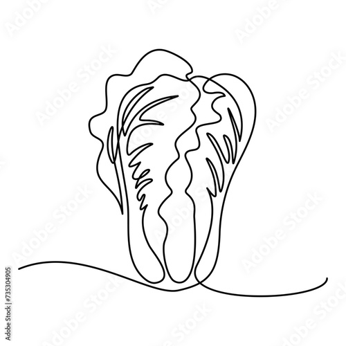 Chinese cabbage in continuous line art drawing style. Pekinensis or napa cabbage black linear sketch isolated on white background. Vector illustration