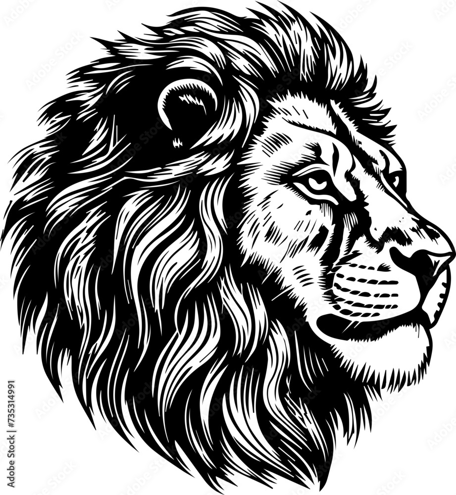 Obraz premium lion head vector design, isolated background, hand drawn illustration style