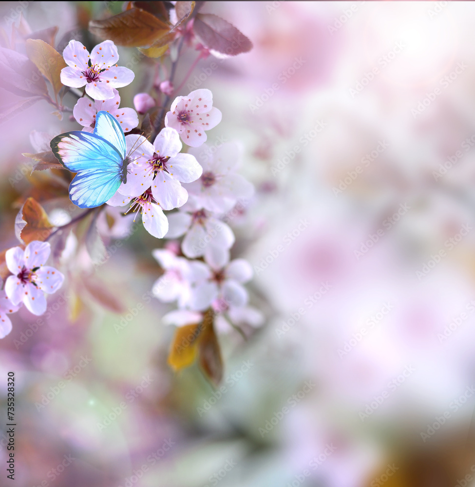 Blossom tree over nature background with butterfly. Spring flowers. Blurred concept.
