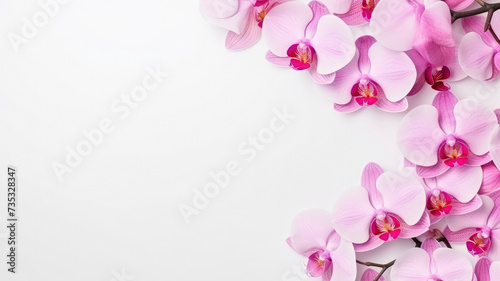 composition of a bouquet of orchid flowers, top view with copy space on a white background