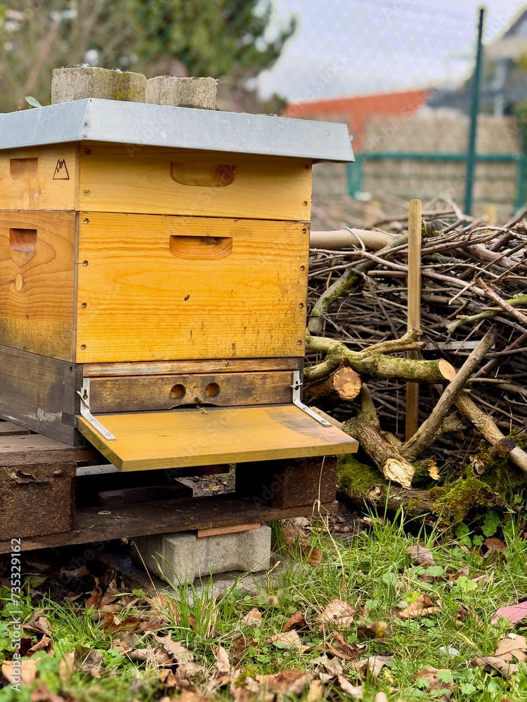 Ein gelber Bienenstock aus Holz steht im Freien. Im Hintergrund ist eine Bentjeshecke aus Holz sichtbar Ein gelber Bienenstock aus Holz steht im Freien. Im Hintergrund ist eine Bentjeshecke aus Holz sichtbar