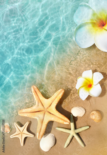 Starfish, seashell and flower on the summer beach in sea water. Summer background.