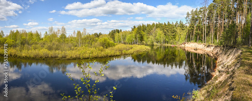 Forest river in May.