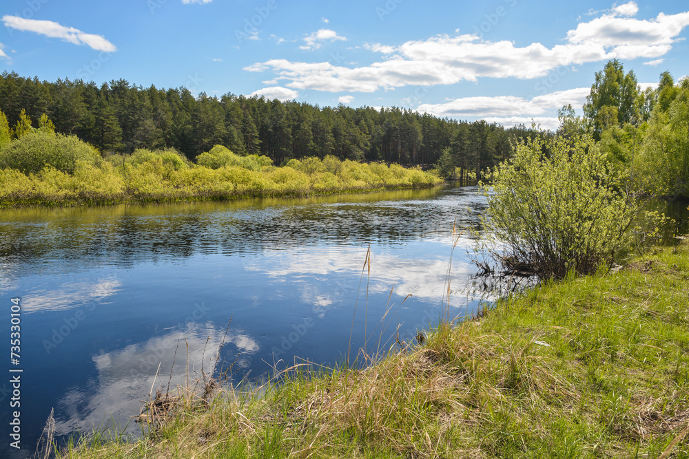 Forest river in May.