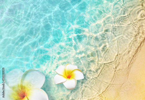 White flowers on the summer beach in sea water. Summer background. © Belight