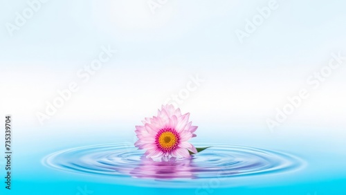 The bud of a beautiful flower lies on the surface of the water.