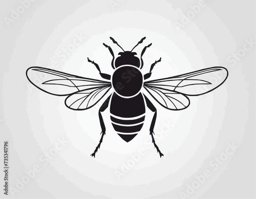Fly insect icon. High quality black vector illustration  © Ouahdou