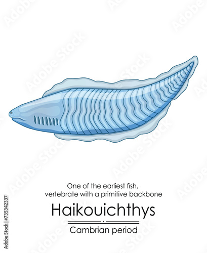 Haikouichthys is known as one of the first fish and one of the earliest animals with a simple backbone. It lived during the Cambrian period. Colorful illustration on a white background.