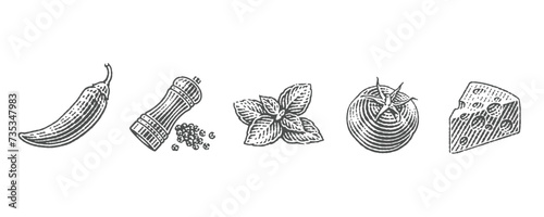 Cooking Spices.Tomato.  Cheese. Jalapeno. Chilli pepper. Pepper shaker. Basil.  Hand drawn engraving style illustrations. Vector illustration.
