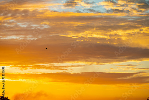 Beautiful idyllic sky at dawn with strong yellow and orange colors © Adilson