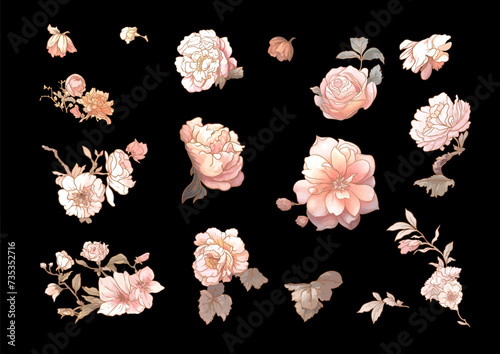 Blossom trees with birds swallow and parrots. Set, element for design. Vector illustration. In Chinoiserie, botanical style