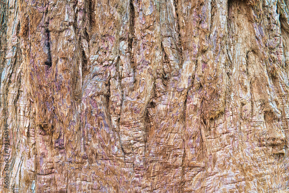 Explore the Fascinating World of Reddish-Brown Tree Bark: Unique Close-Up Textures! Explore the Fascinating World of Reddish-Brown Tree Bark: Unique Close-Up Textures!