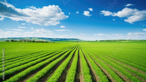 crops farm fieldic