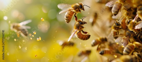 A swarm of beautiful bees flying in the clear blue sky on a sunny day