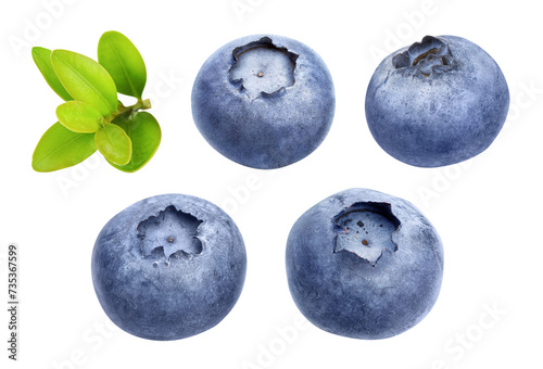 Berry blueberry berries set with green leaf close-up. Fruity still life for organic healthy food, isolated. PNG.