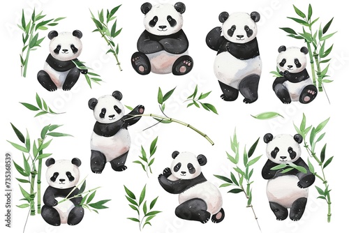 Set of panda in different poses watercolor with green bamboo leaves photo