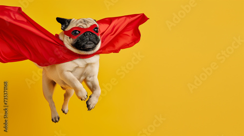 Cachorro pug super-herói com capa vermelha e máscara pulando em fundo amarelo photo